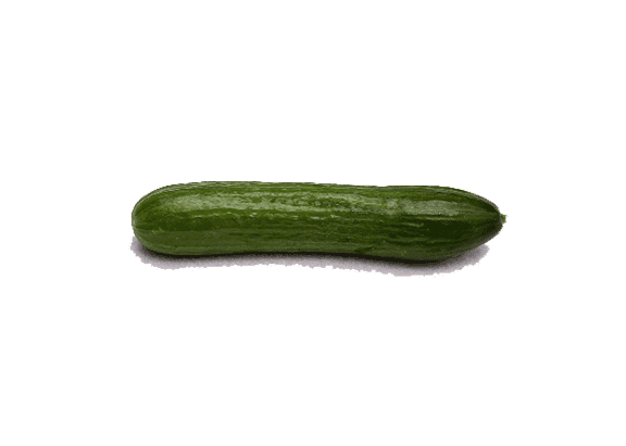 خیار